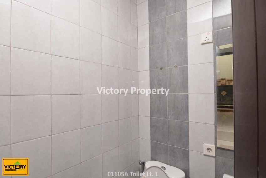 01105A Toilet Lt. 1